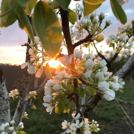 Appartamento Salas Striber *