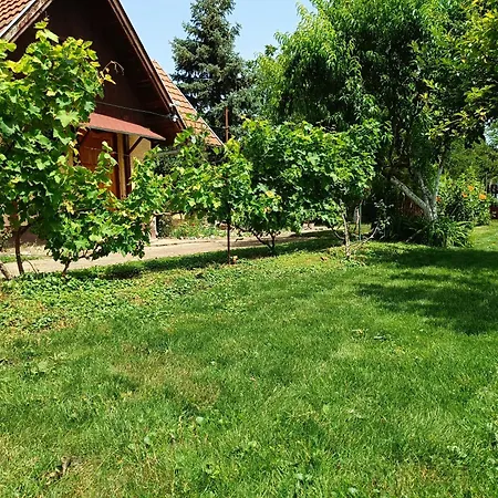Salas Striber Vrbas
