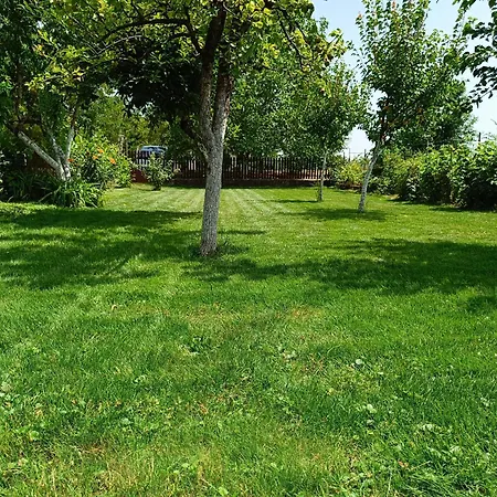Apartment Salas Striber Vrbas