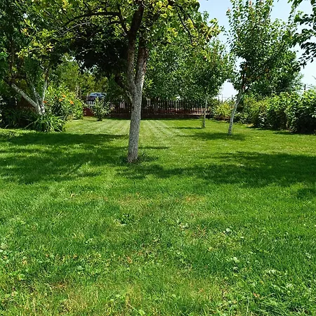 公寓 Salas Striber Vrbas