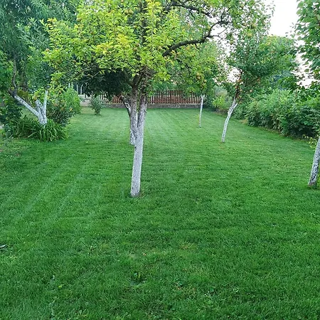 Salas Striber 公寓 Vrbas